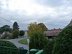 Třibřichy