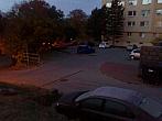 Borovina