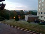 Borovina