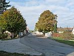 Třibřichy