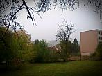 Borovina