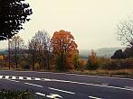 Borovina
