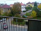 Borovina