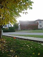Třibřichy