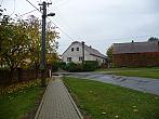 Třibřichy