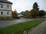 Třibřichy
