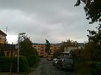 Borovina
