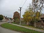 Třibřichy