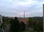 Borovina
