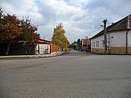 Třibřichy