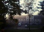 Borovina