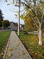 Třibřichy