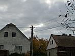 Třibřichy
