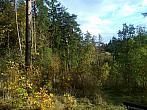 Borovina
