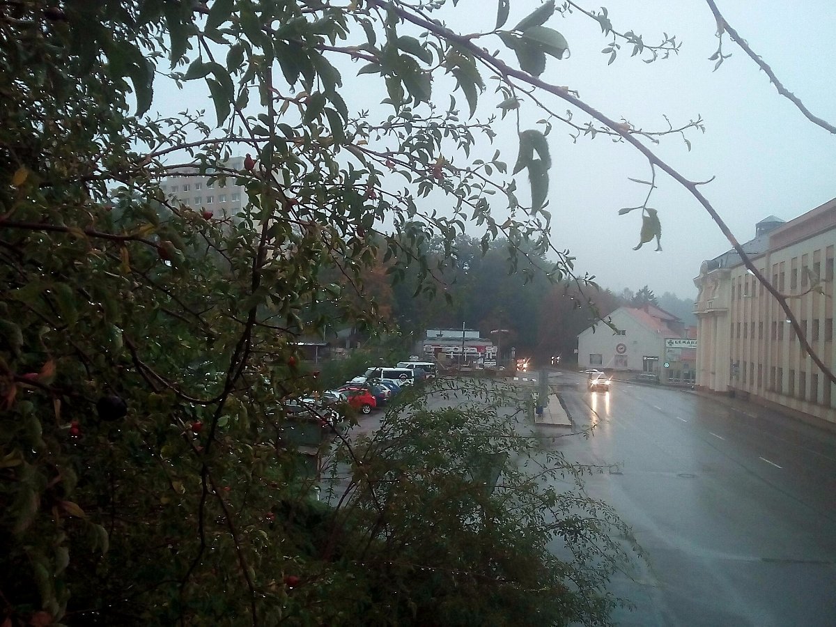 Borovina
