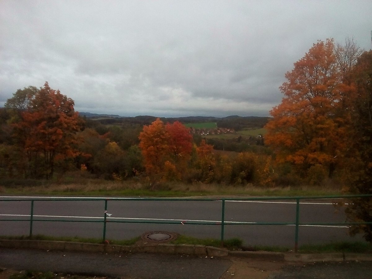 Borovina