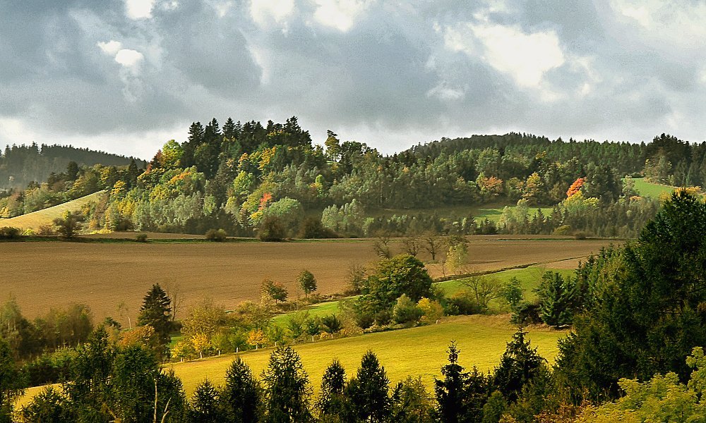 Olešnice na Moravě