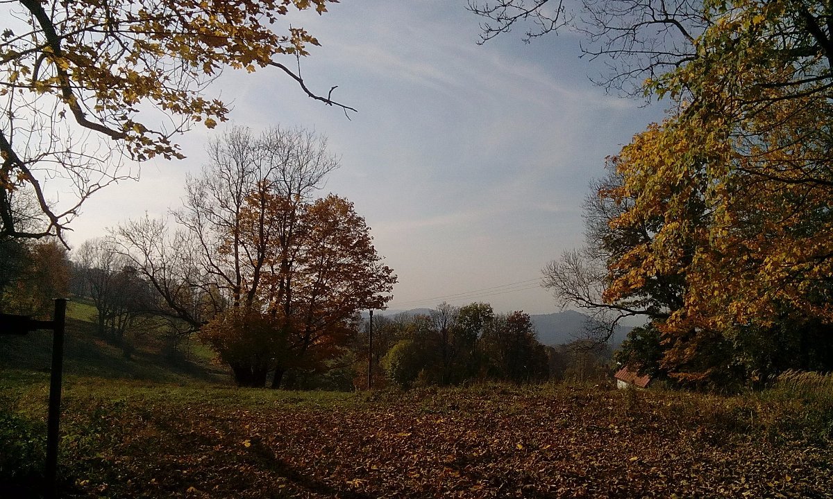 Líska