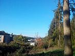 Borovina