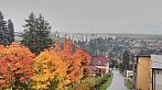 Tachov