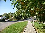 Třibřichy