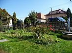 Třibřichy