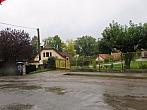 Třibřichy
