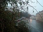 Borovina
