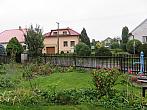 Třibřichy