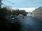 Borovina