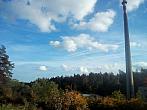 Borovina