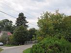 Třibřichy