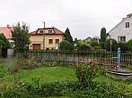 Třibřichy