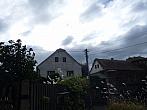 Třibřichy