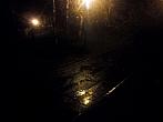 Borovina