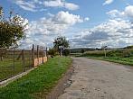 Třibřichy