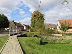 Třibřichy