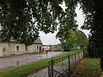 Třibřichy