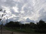 Třibřichy