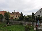 Třibřichy
