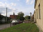 Třibřichy