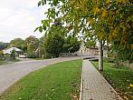 Třibřichy
