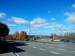 Borovina