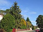 Neratovice