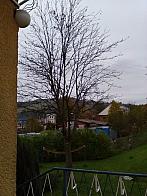 Skalité