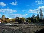 Borovina