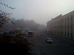 Borovina
