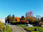 Jičín