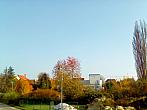 Jičín