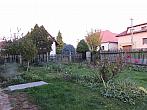 Třibřichy